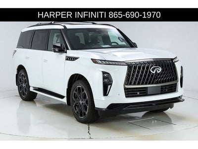 2026 INFINITI QX80 SPORT