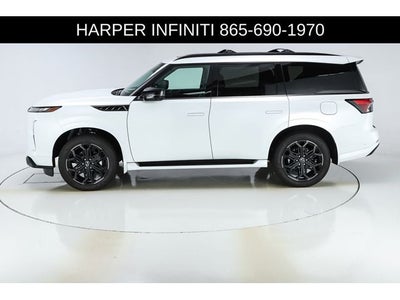 2026 INFINITI QX80 SPORT