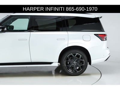 2026 INFINITI QX80 SPORT