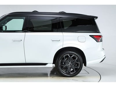 2026 INFINITI QX80 SPORT