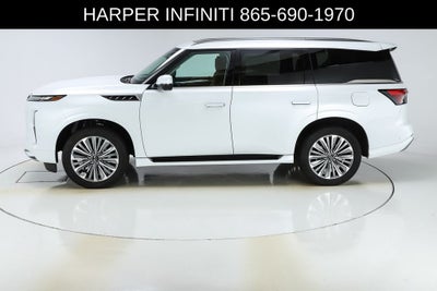 2025 INFINITI QX80 SENSORY
