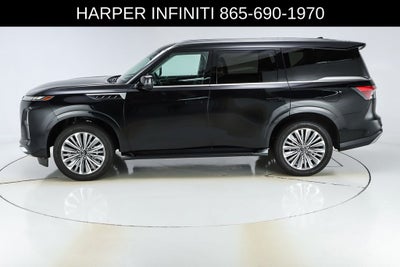 2025 INFINITI QX80 SENSORY