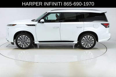 2025 INFINITI QX80 SENSORY